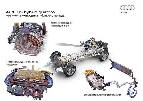 - Audi Q5:  